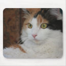 Recherche de felines tapis souris Faune