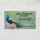Recherche de animaux zoo cartes visite Oiseau
