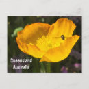 Recherche de queensland cartes postales Australie