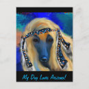 Suche nach afghanischer poster Afghanische windhunde