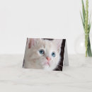 Recherche de de chaton correspondances cartes Amoureux des chats