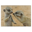 Recherche de mammifères planches à découper Animaux dans la nature