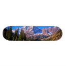 Recherche de réflexion skateboards Arbre