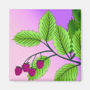Suche nach rosa beere magnete Himbeere