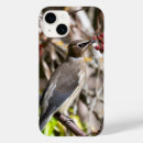Recherche de aviaire iphone coques Faune