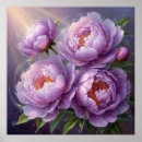 Suche nach pfingstrose poster Rosa