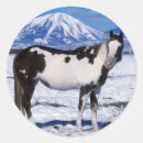 Suche nach paint horse aufkleber Stehend