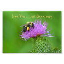 Suche nach bienen liebe poster Blume