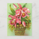 Recherche de orchidées roses cartes postales Pour elle