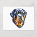 Recherche de chiots rottweiler cartes postales Amoureux des chiens