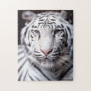 Suche nach bengal cat puzzle White tiger