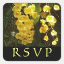 Recherche de orchidée jaune Nature