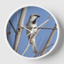 Recherche de oiseaux chanteurs horloges Photographie de nature