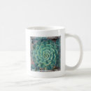 Suche nach echeveria tassen Blume