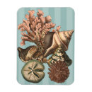 Suche nach silhouette magnete Muschel