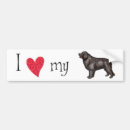 Recherche de terre neuve voiture autocollants Pour tous