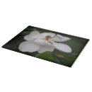 Suche nach magnolie schneidebrettchen Blume