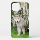 Recherche de malamute iphone coques Mignon