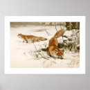 Suche nach vintager fuchs poster Natur