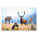 Suche nach affe mit banane poster Tiere