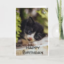 Suche nach 7 jungen geburtstag karten Niedlich