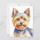 Suche nach yorkshire terrier postkarten Welpe