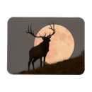 Recherche de majestueux magnets Ciel