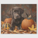 Recherche de chocolat labrador retriever papier cadeau Dog