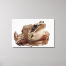 Suche nach reptil leinwandbilder Kaltblütig