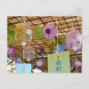 Recherche de chimpanzee postcards cartes postales Photographie