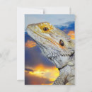 Recherche de lézard invitations Animal