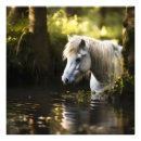 Suche nach walden teich poster Natur