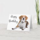 Suche nach beagle karten Welpe