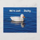 Suche nach ducky poster Vögel