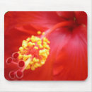 Recherche de fleur ketmie tapis souris Rouge