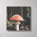 Recherche de champignon art Nourriture