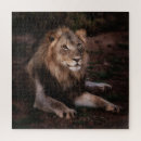 Recherche de chat sauvage puzzles Famille