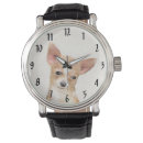 Recherche de chihuahua accessoires Chiot