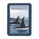 Recherche de orques magnets Baleines