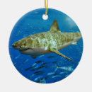 Suche nach haifische ornamente Weißer hai