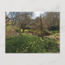 Recherche de arbre vert cartes postales Floral