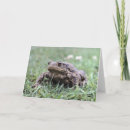 Suche nach toad karten Tier