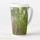Recherche de redwood tasses Arbres