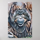 Recherche de orangutan posters Orangoutan