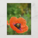 Recherche de single cartes postales Photographie