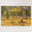 Suche nach rocky mountain national park puzzle Superstock