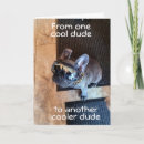 Suche nach cooler typ karten Bulldogin
