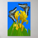 Recherche de mensonges posters Fleurs