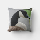 Suche nach wasservogel kissen Niedlich