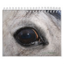 Suche nach pferdeartig kalender Natur